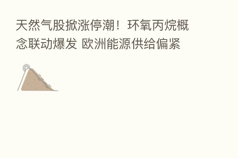 天然气股掀涨停潮！环氧丙烷概念联动爆发 欧洲能源供给偏紧 这些化工方向或可关注