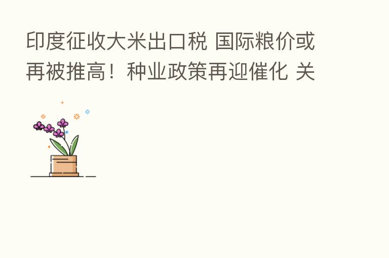 印度征收大米出口税 国际粮价或再被推高!种业政策再迎催化 关注行业龙头标的