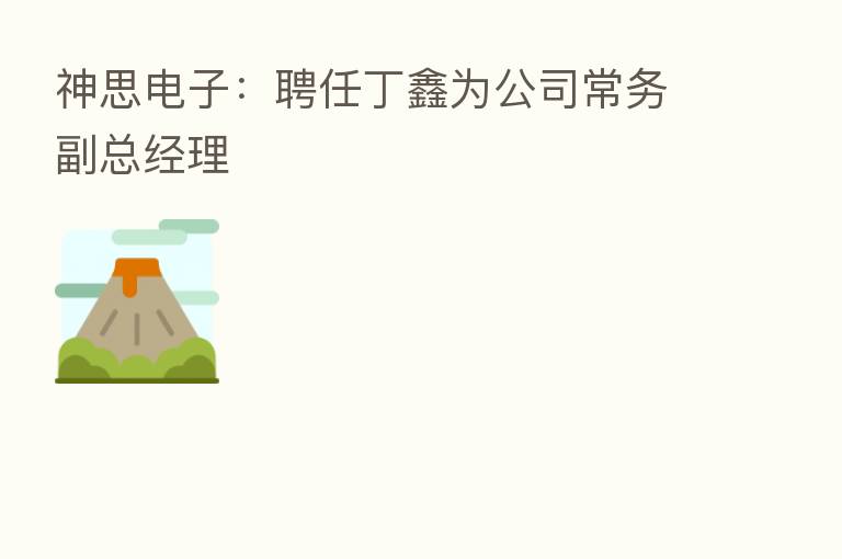 神思电子：聘任丁鑫为公司常务副总经理
