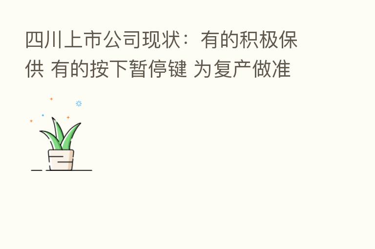 四川上市公司现状：有的积极保供 有的按下暂停键 为复产做准备