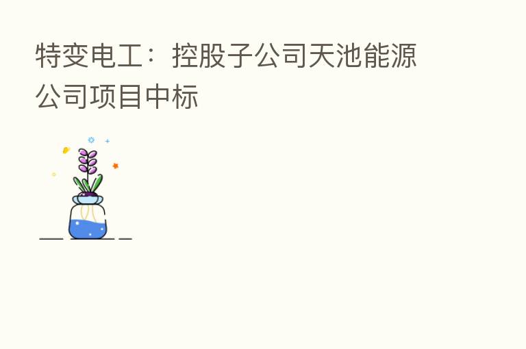 特变电工：控股子公司天池能源公司项目中标