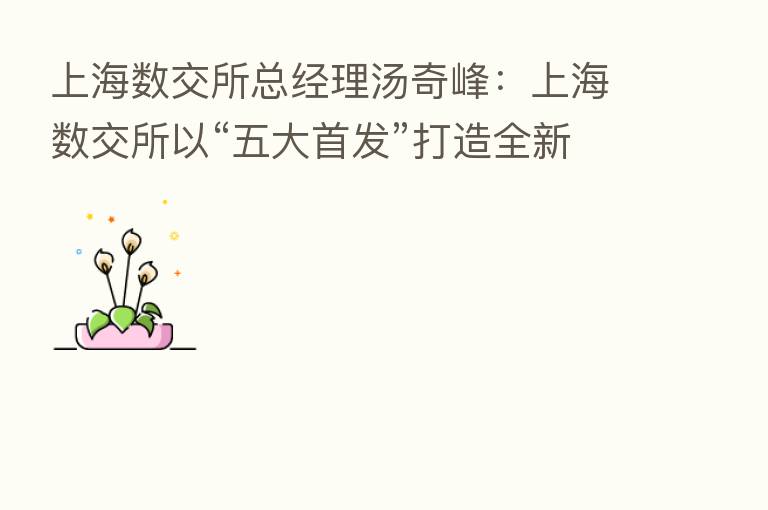 上海数交所总经理汤奇峰：上海数交所以“五大首发”打造全新的数字资产板块