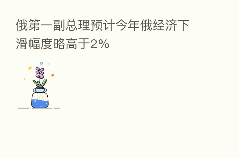 俄 一副总理预计今年俄经济下滑幅度略高于2%