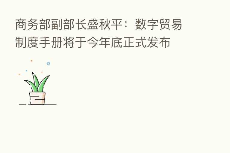 商务部副部长盛秋平：数字贸易制度手册将于今年底正式发布