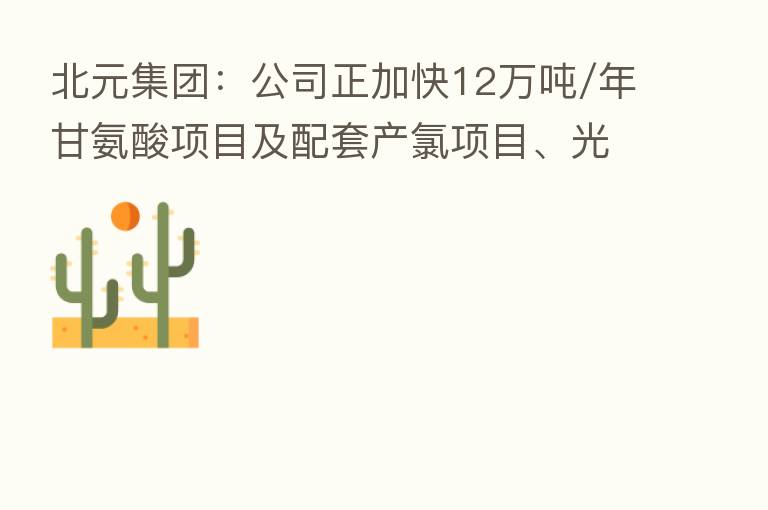 北元集团：公司正加快12万吨/年甘氨酸项目及配套产氯项目、光伏发电等项目建设