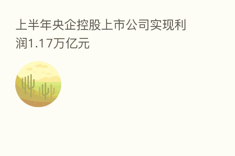 上半年央企控股上市公司实现利润1.17万亿元