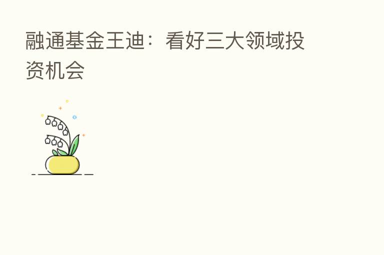 融通基金王迪：看好三大领域投资机会
