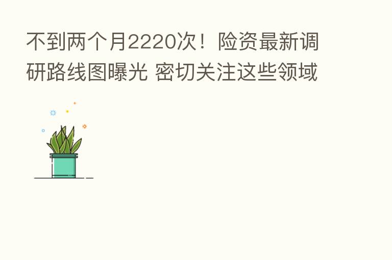 不到两个月2220次！险资新   调研路线图曝光 密切关注这些领域