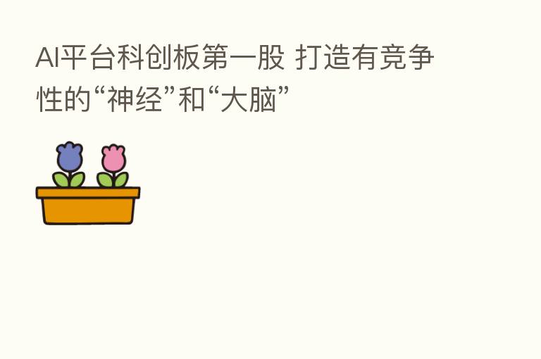 AI平台科创板   一股 打造有竞争性的“神经”和“大脑”
