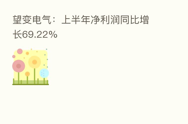 望变电气：上半年净利润同比增长69.22%