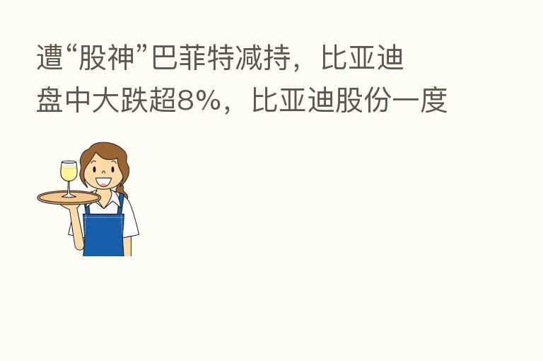 遭“股神”巴菲特减持,比亚迪盘中大跌超8%,比亚迪股份一度跌13%
