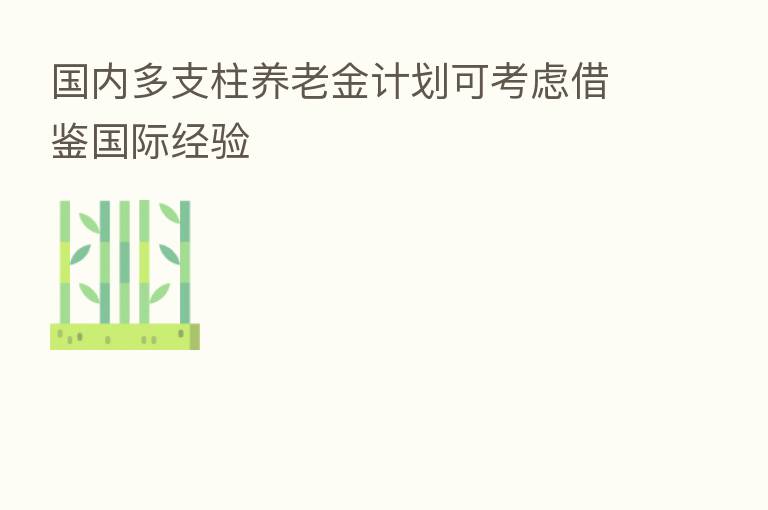 国内多支柱养老金计划可考虑借鉴国际经验