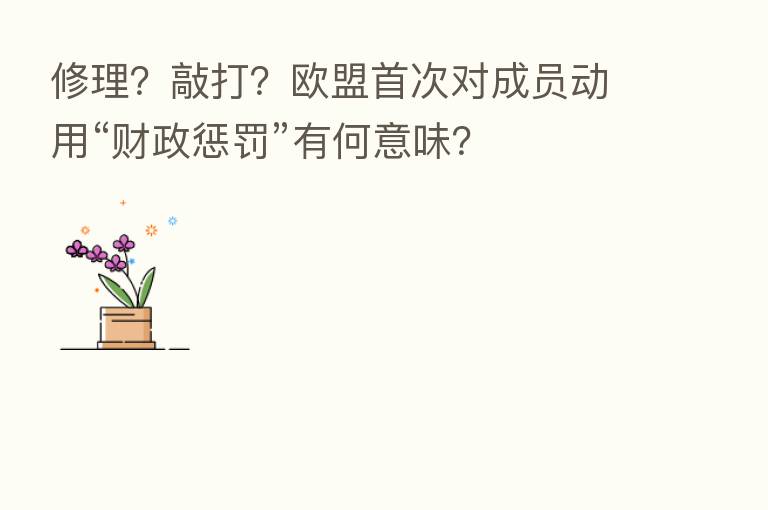修理?敲打?欧盟首次对成员动用“财政惩罚”有何意味?