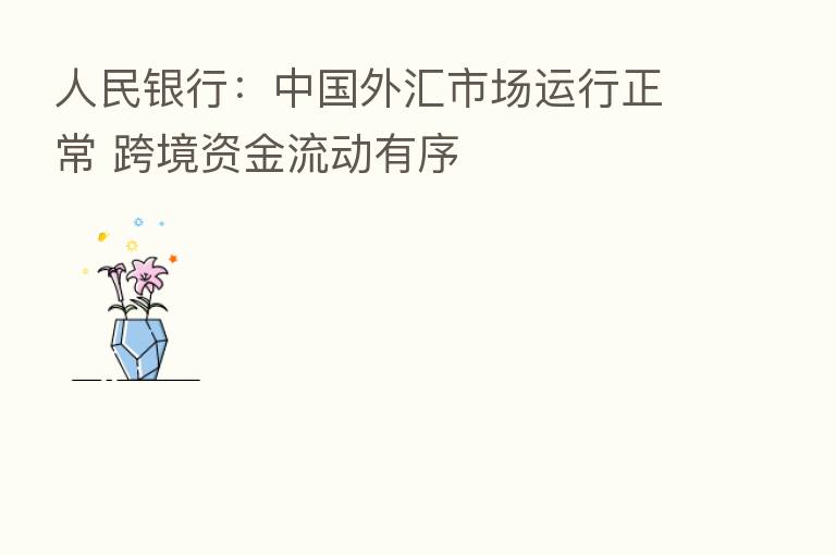 人民银行：中国外汇市场运行正常 跨境资金流动有序