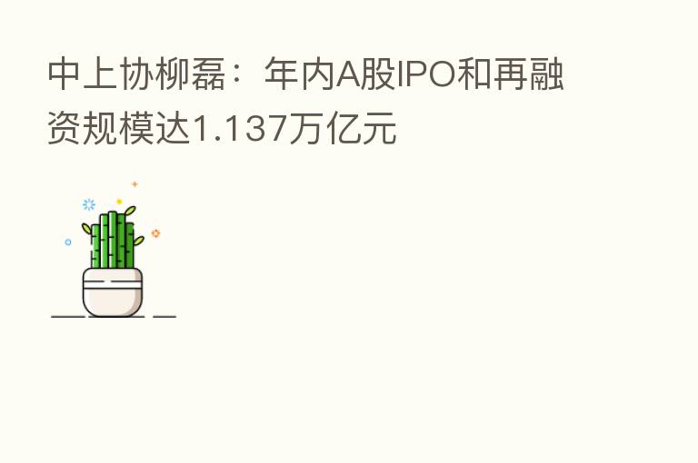 中上协柳磊：年内A股IPO和再融资规模达1.137万亿元