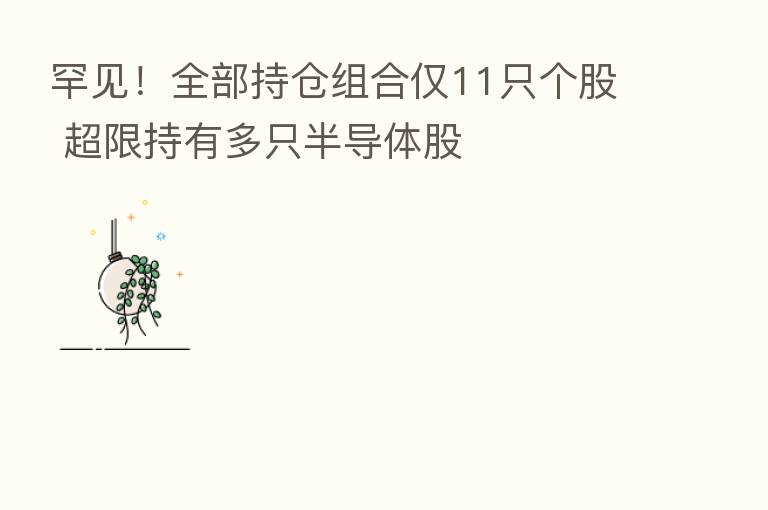 罕见！全部持仓组合仅11只个股 超限持有多只半导体股