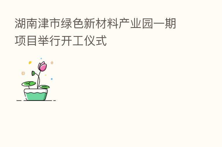 湖南津市绿色新材料产业园一期项目举行开工仪式