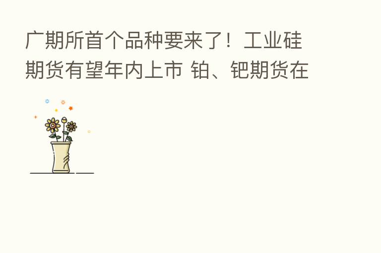 广期所首个品种要来了!工业硅期货有望年内上市 铂、钯期货在路上!期货公司积极备战