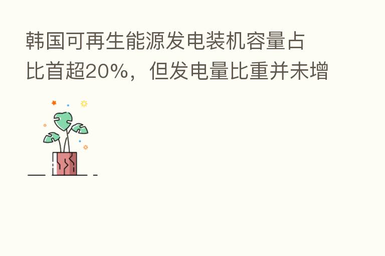 韩国可再生能源发电装机容量占比首超20%,但发电量比重并未增加