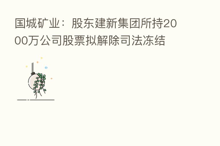国城矿业：股东建新集团所持2000万公司股票拟解除司法冻结
