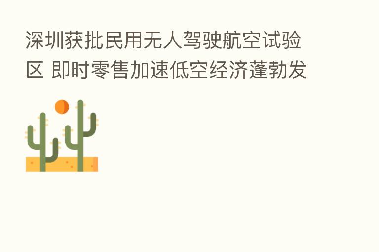深圳获批民用无人驾驶航空试验区 即时零售加速低空经济蓬勃发展
