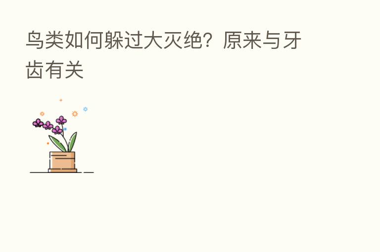 鸟类如何躲过大灭绝?原来与牙齿有关