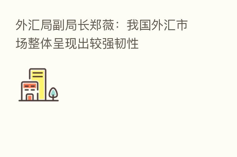 外汇局副局长郑薇:我国外汇市场整体呈现出较强韧性