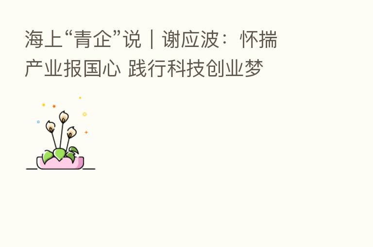 海上“青企”说|谢应波:怀揣产业报国心 践行科技创业梦