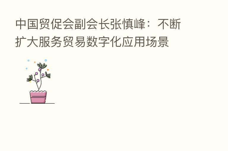 中国贸促会副会长张慎峰:不断扩大服务贸易数字化应用场景