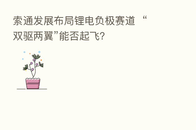 索通发展布局锂电负极赛道 “双驱两翼”能否起飞?