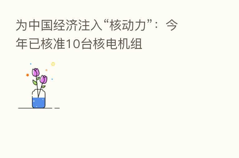 为中国经济注入“核动力”：今年已核准10台核电机组