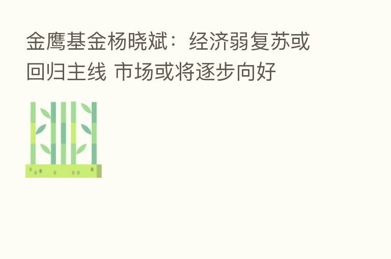 金鹰基金杨晓斌：经济弱复苏或回归主线 市场或将逐步向好