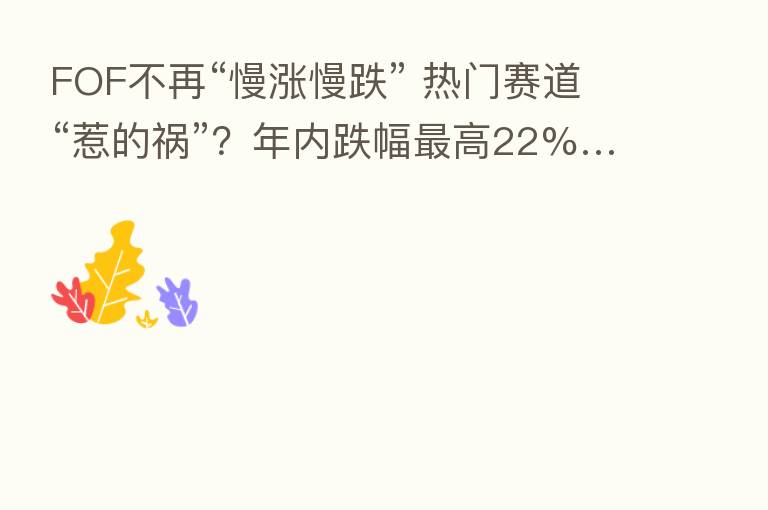 FOF不再“慢涨慢跌” 热门赛道“惹的祸”？年内跌幅   高22%…
