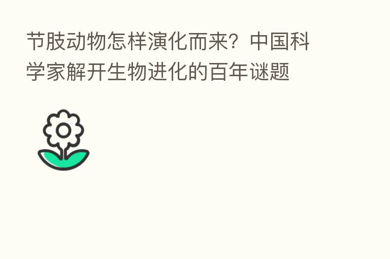 节肢动物怎样演化而来?中国科学家解开生物进化的百年谜题