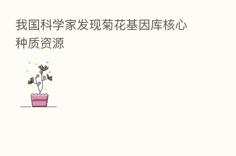 我国科学家发现菊花基因库核心种质资源