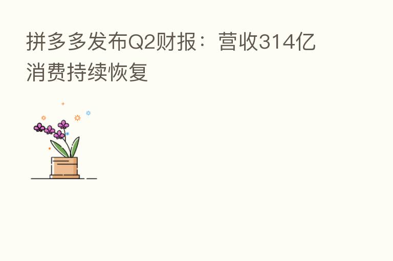 拼多多发布Q2财报：营收314亿 消费持续恢复
