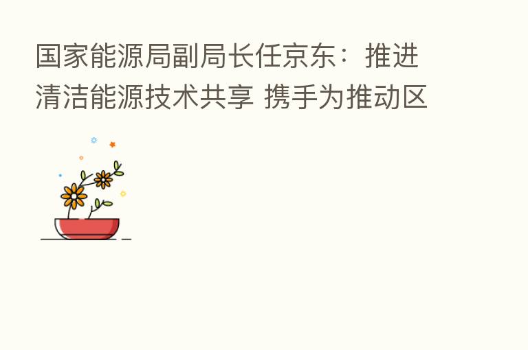 国家能源局副局长任京东:推进清洁能源技术共享 携手为推动区域能源转型和可持续发展贡献力量