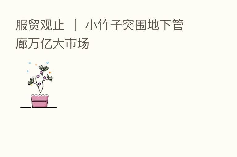 服贸观止 ｜ 小竹子突围地下管廊万亿大市场