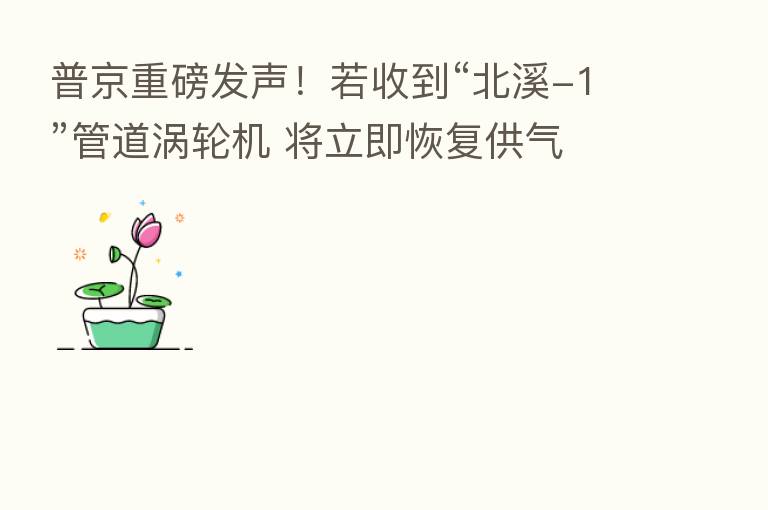 普京重磅发声！若收到“北溪-1”管道涡轮机 将立即恢复供气 正在放弃使用美元和英镑