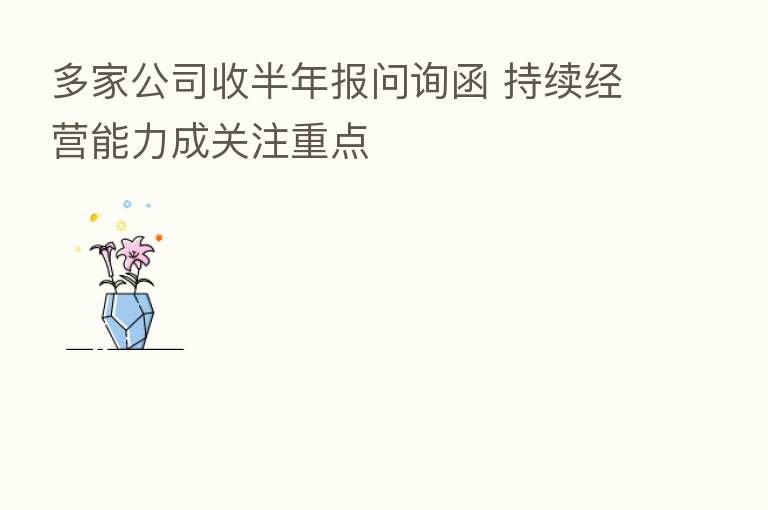 多家公司收半年报问询函 持续经营能力成关注重点