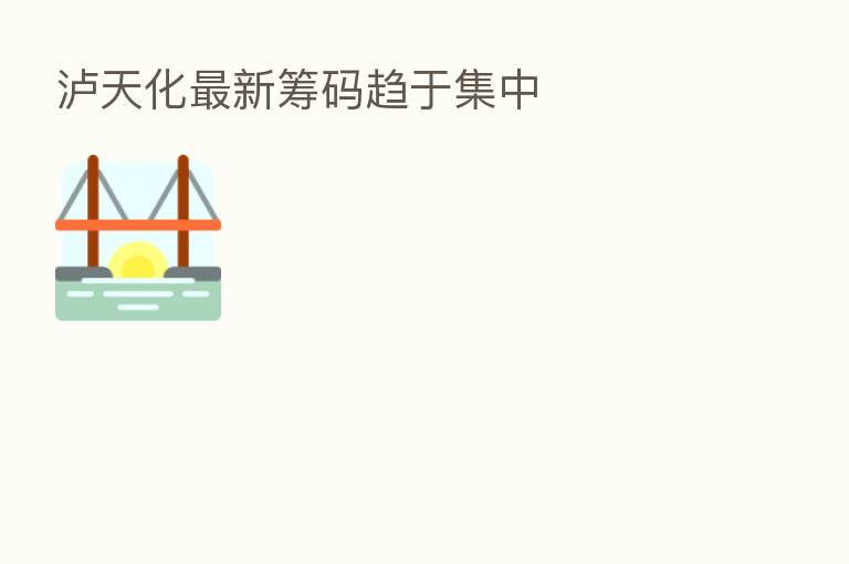 泸天化新   筹码趋于集中