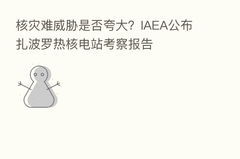 核灾难威胁是否夸大？IAEA公布扎波罗热核电站考察报告