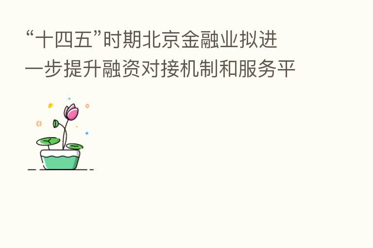“十四五”时期北京金融业拟进一步提升融资对接机制和服务平台功能