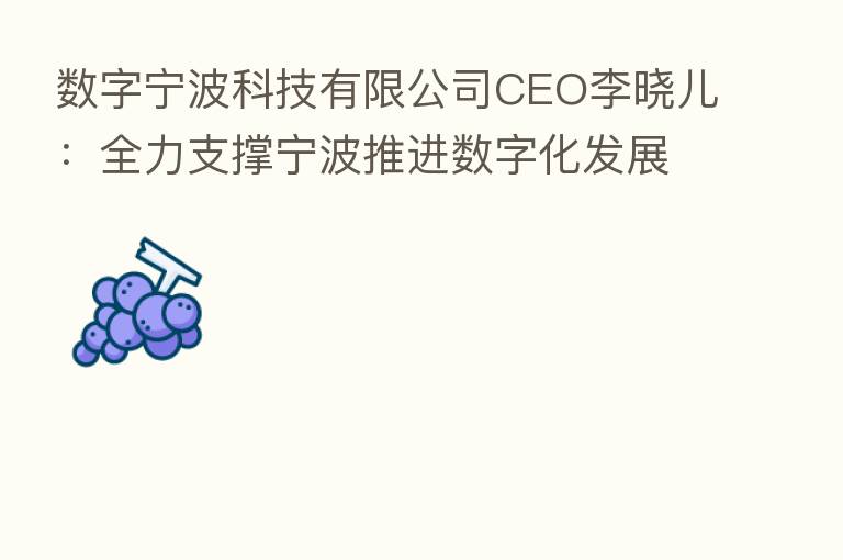 数字宁波科技有限公司CEO李晓儿:全力支撑宁波推进数字化发展 让数字化改革惠及更多行业