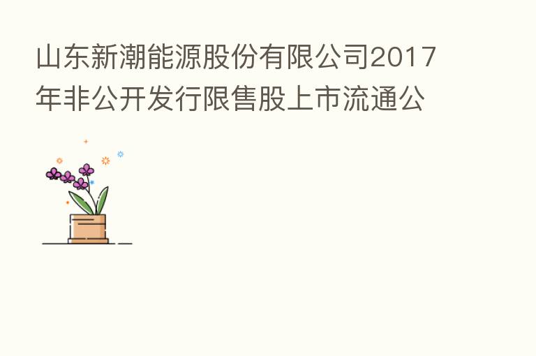 山东新潮能源股份有限公司2017年非公开发行限售股上市流通公告