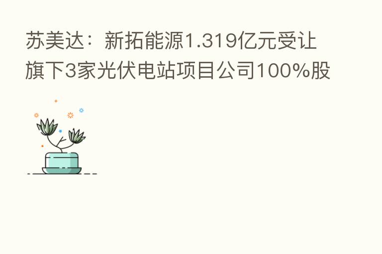 苏美达：新拓能源1.319亿元受让旗下3家光伏电站项目公司100%股权