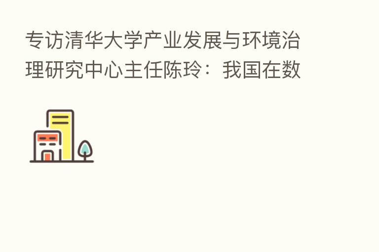 专访清华大学产业发展与环境治理研究中心主任陈玲：我国在数字化+低碳化上有先发优势 削减传统能源类企业碳排不应操之过急