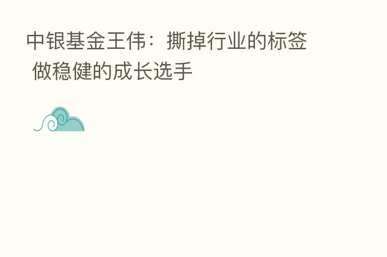 中银基金王伟：撕掉行业的标签 做稳健的成长选手