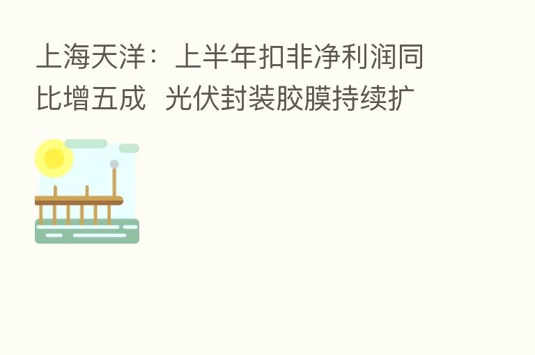 上海天洋：上半年扣非净利润同比增五成  光伏封装胶膜持续扩产