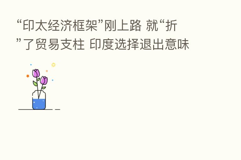 “印太经济框架”刚上路 就“折”了贸易支柱 印度选择退出意味着什么？